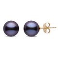 14K Yellow Gold Black Freshwater Pearl Earrings | 6mm