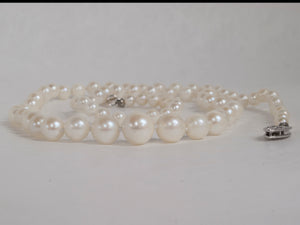 Graduated Freshwater Pearl Necklace | 19”