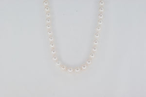 Pearl Necklace Akoya Pearl Necklace Availabel at The Vault Fine Jewellery 