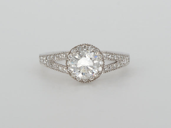 14k White Gold Halo Stuller Mount Diamond Ring Availabel at The Vault Fine Jewellery 