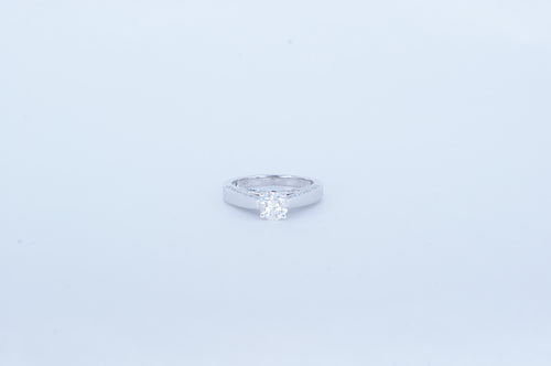 14k White Gold Diamond Ring Availabel at The Vault Fine Jewellery 